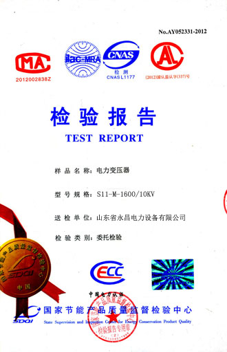 南充电力变压器检测合格报告